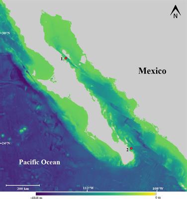 Geographic Variation in Bryde’s Whale Be4 Calls in the Gulf of California: An Insight to Population Dynamics